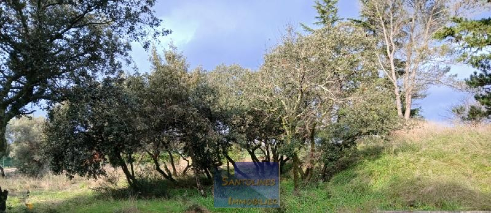 Image_, Terrain à batir, Saint-Maximin, ref :53003